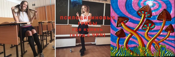 гидра Алзамай