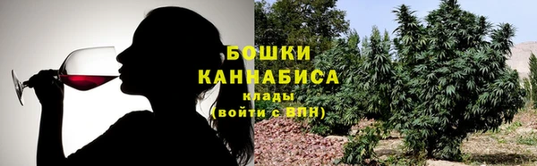 ПСИЛОЦИБИНОВЫЕ ГРИБЫ Алексеевка