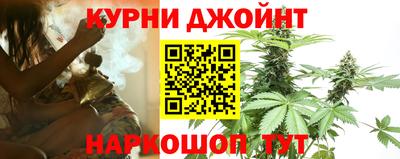 прущие крисы Моздок