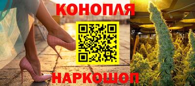 прущие крисы Моздок