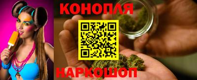 прущие крисы Моздок