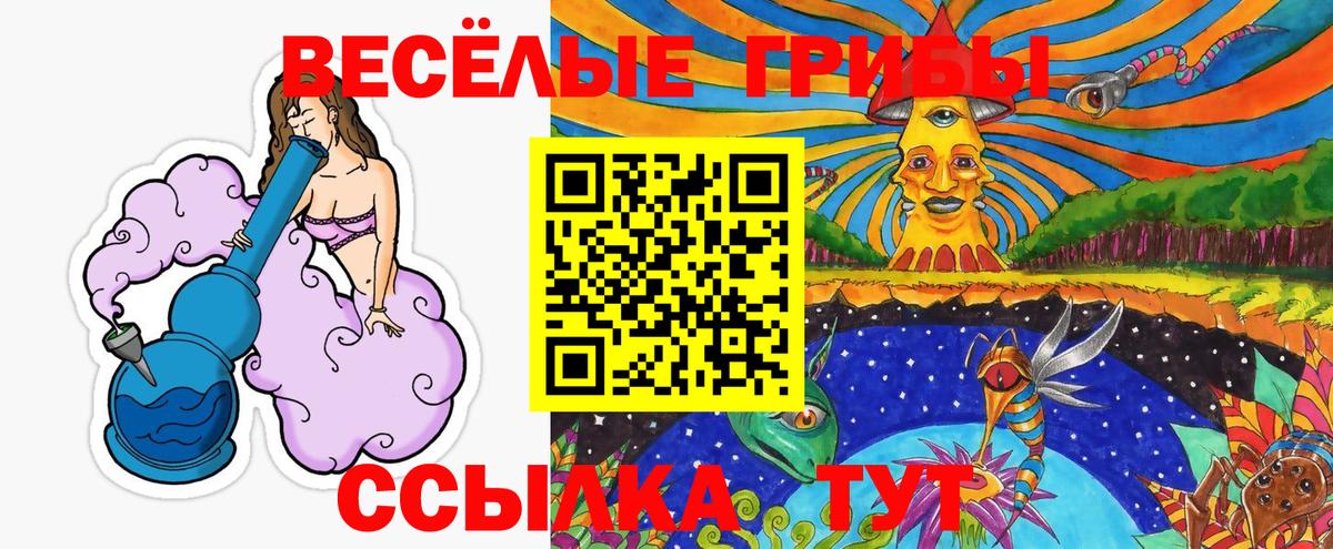 Псилоцибиновые грибы Psilocybine cubensis  Вход с VPN  Уварово 