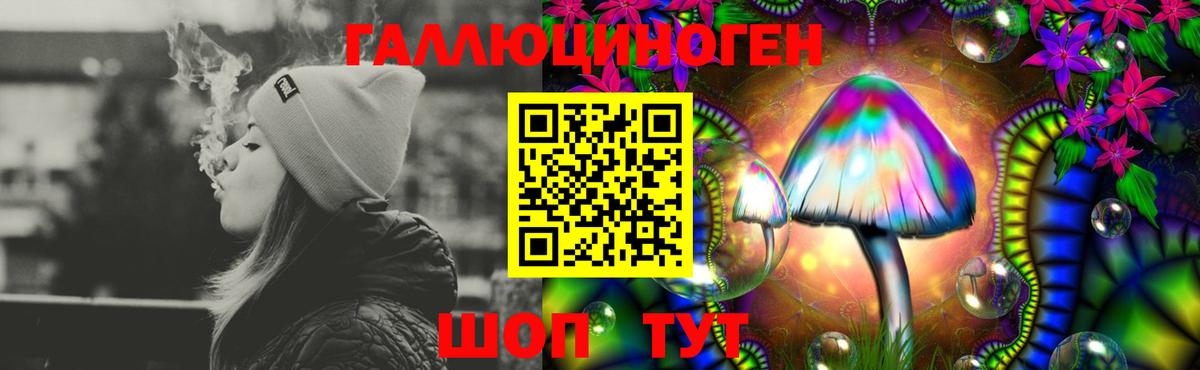 Псилоцибиновые грибы Psilocybe Уварово
